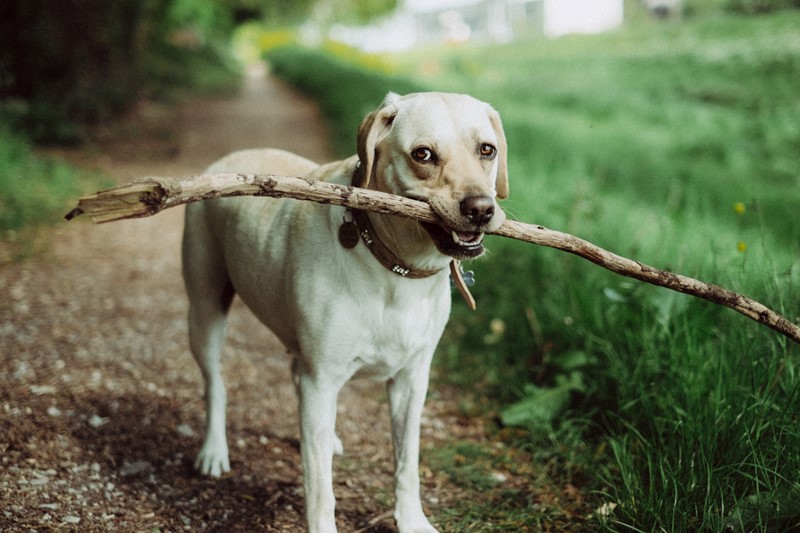 mitchell-orr-389605-unsplash.jpg