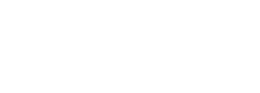 Dog Sense Training and Behaviour Logo