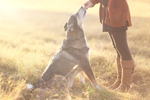 outside sit.jpg